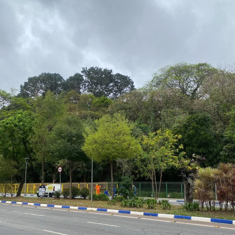 Elói Pietá aciona Justiça contra pintura do gradil do Bosque Maia. Ex-prefeito alega que a alteração não foi aprovada pelo Conselho do Patrimônio e pede que gestão de Lucas Sanches refaça a pintura original.